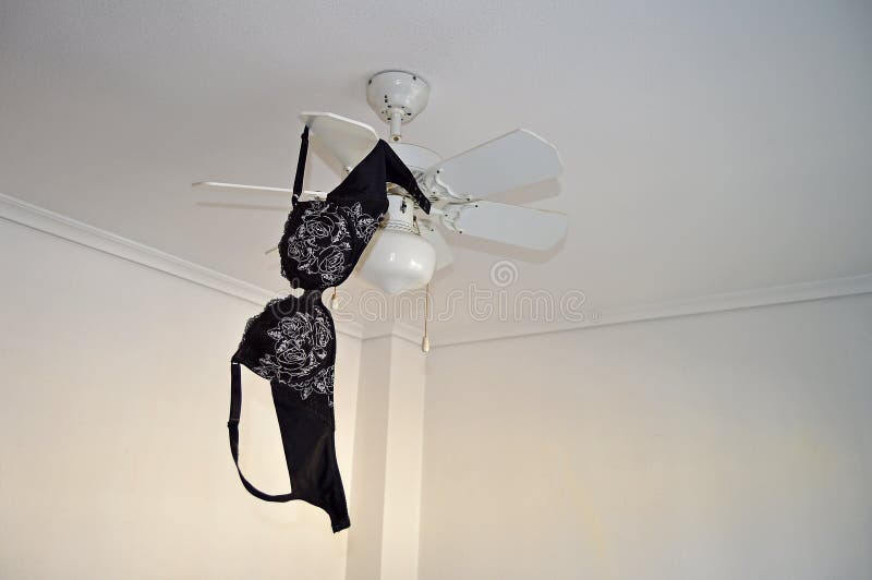Bra Hangs Stock Photos - Free & Royalty-Free Stock Photos from Dreamstime