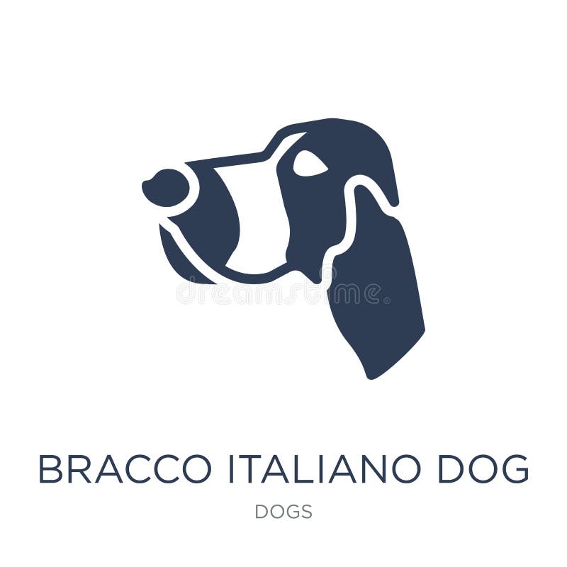 Bracco Italiano Dog. Vector Outline Stock Illustration Realistic Lines ...