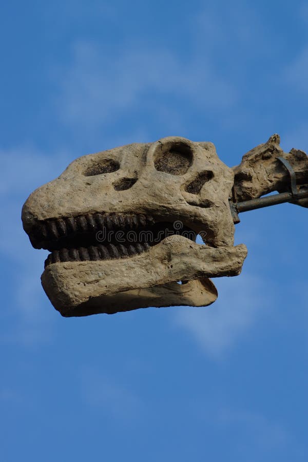 Brachiosaurus Altithorax Foto stock - Foto stock gratuite e royalty