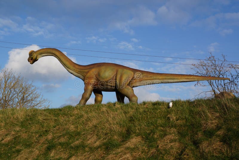 Brachiosaurus - Brachiosaurus Altithorax Stock Image - Image of jurassic, skeleton: 40358051
