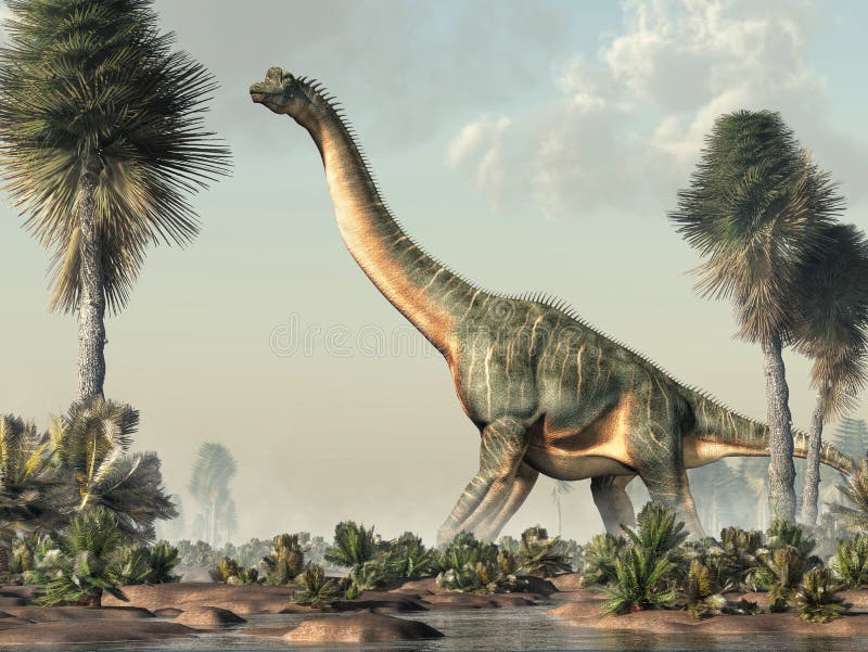 Brachiosaurus was a sauropod dinosaur, one of the largest and most popular. It lived in during the Late Jurassic Period. Standing in a wetland. 3D Rendering. Brachiosaurus was a sauropod dinosaur, one of the largest and most popular. It lived in during the Late Jurassic Period. Standing in a wetland. 3D Rendering