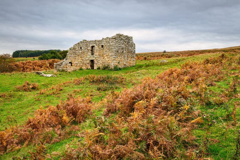 The ruins of an early 17th century bastle or defensible farmhouse in the Anglo-Scottish Borders as protection against Border Reivers. The ruins of an early 17th century bastle or defensible farmhouse in the Anglo-Scottish Borders as protection against Border Reivers