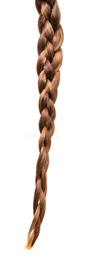 Strand of Long, Frizzy, Brown Hair Isolated on White Background. Stock ...