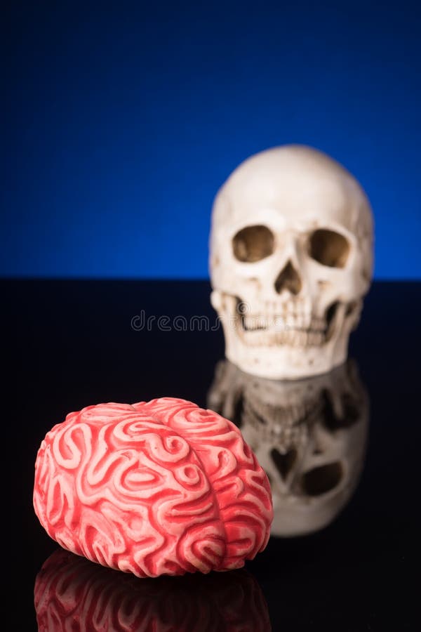 Brain and blurry Skull stock image. Image of dead, diagnosis - 104228731