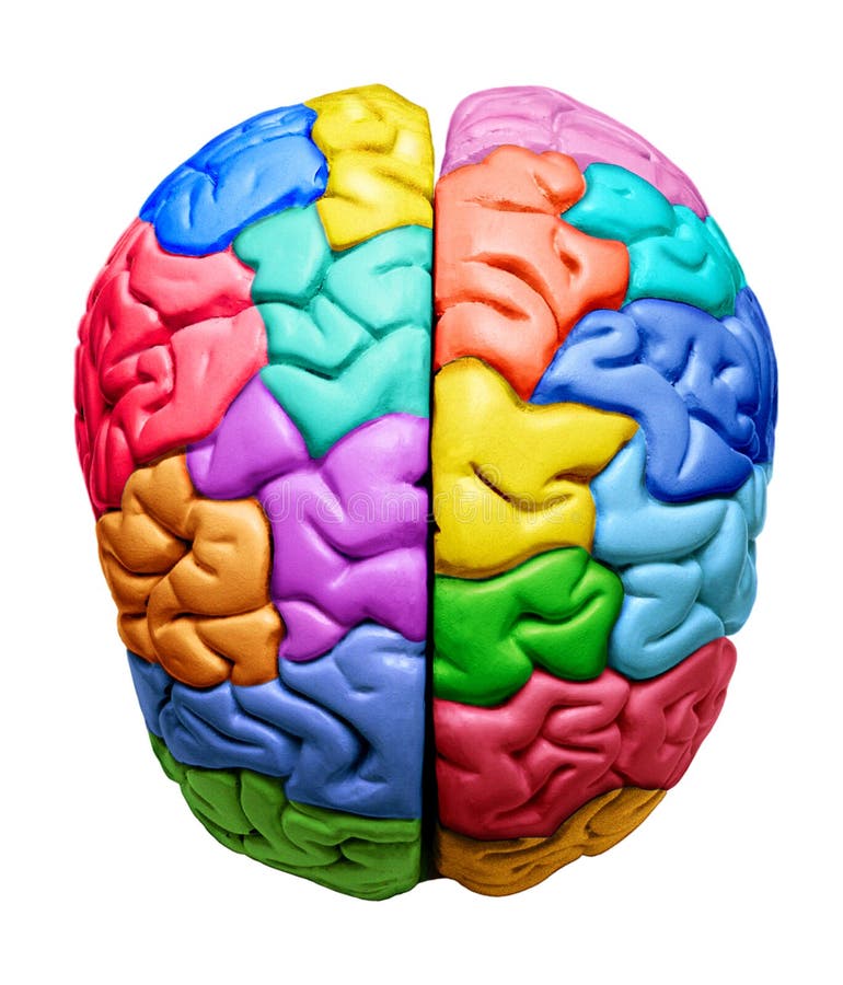 Colored brains