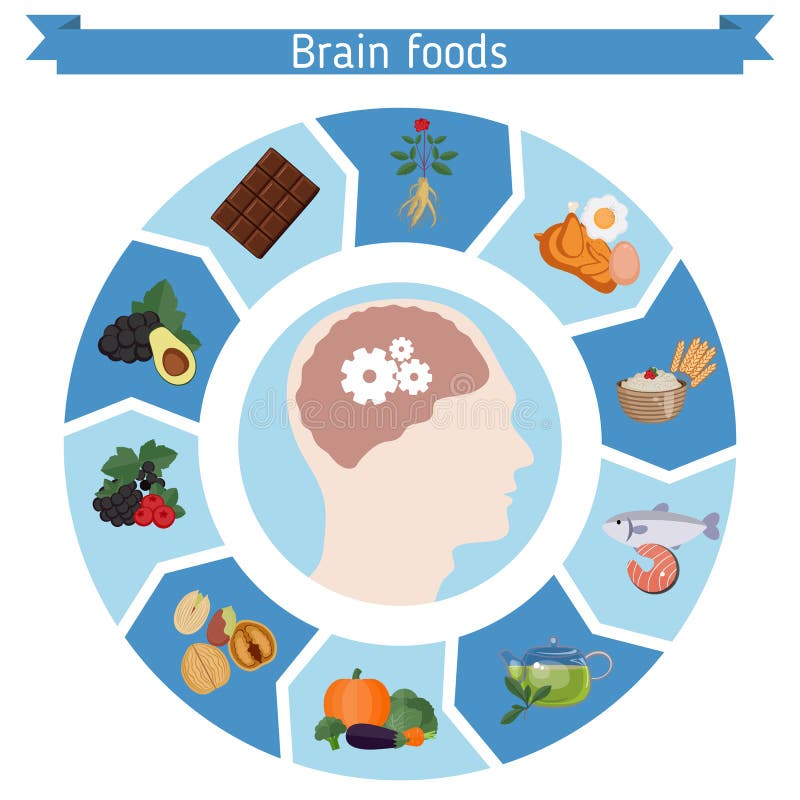 Brain Foods infographics stock vector. Illustration of graphics - 78454340