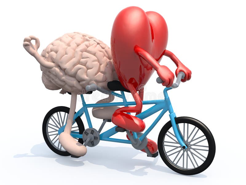 Brain and heart riding tandem bicycle