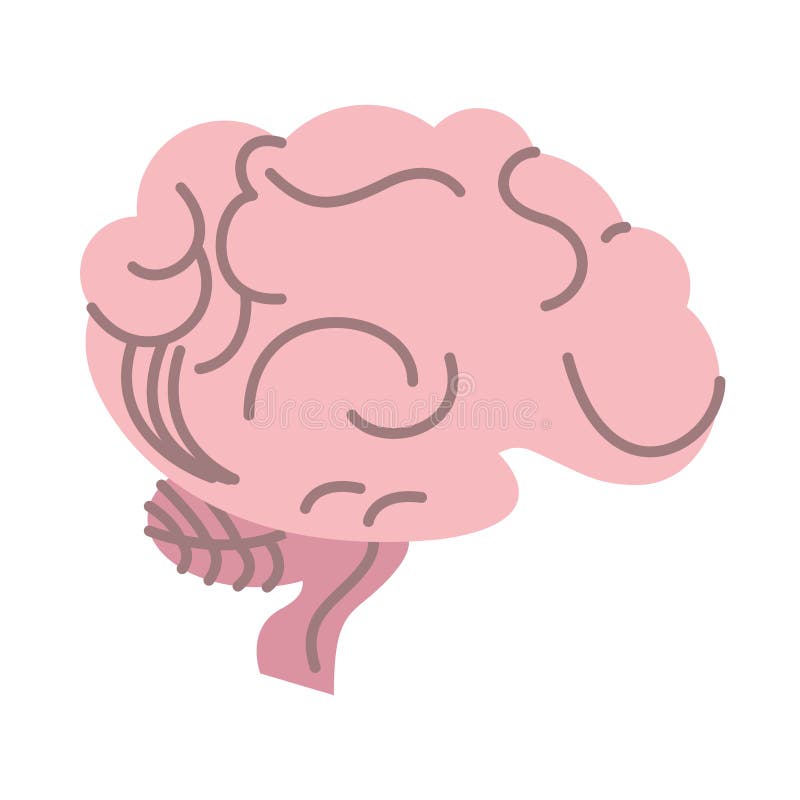 Brain Human Organ Isolated Icon Stock Vector - Illustration of ...