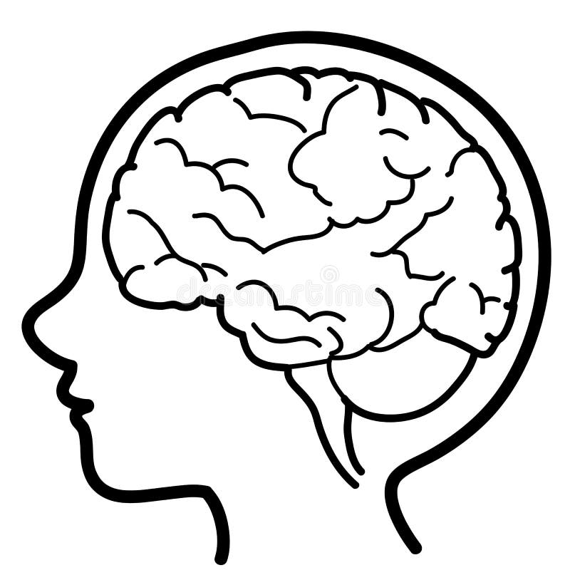Child profile with visible brain stock illustration