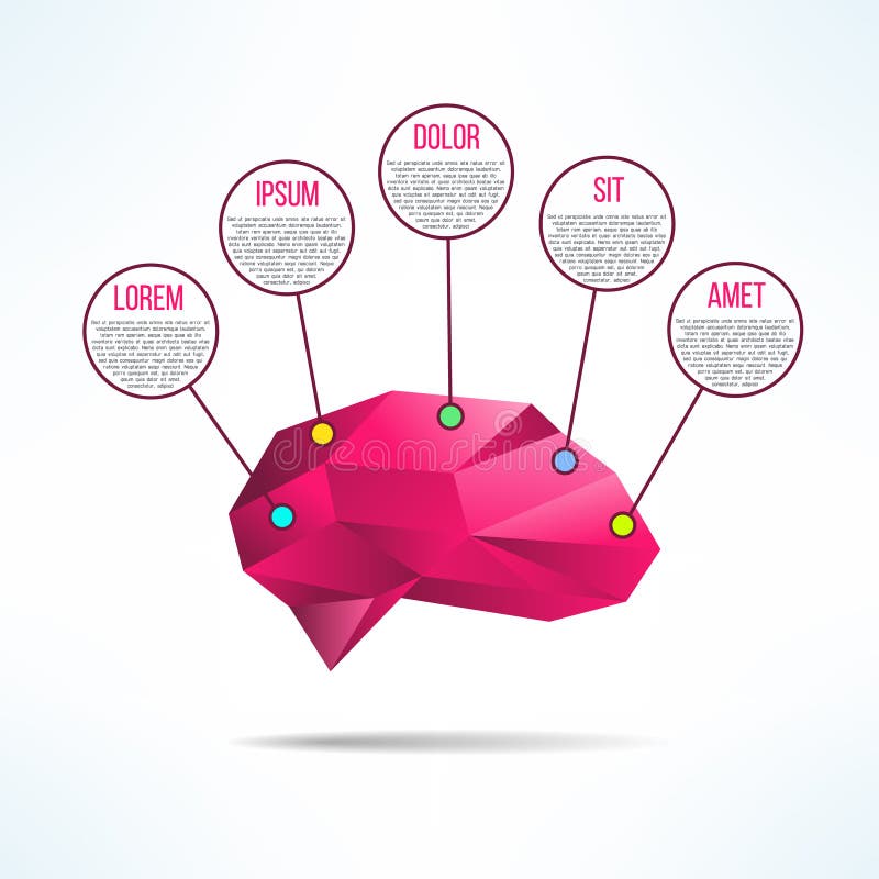 human brain mapping template human brain mapping template