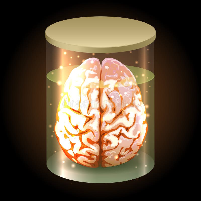 Brain in jar stock illustration. Illustration of object - 13592585