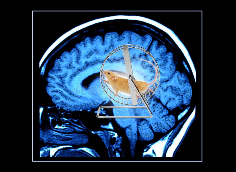 Escanear de hombre cerebro ratón sobre el ejercicio redondo.