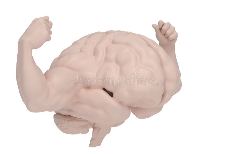 is the brain a muscle is the brain a muscle