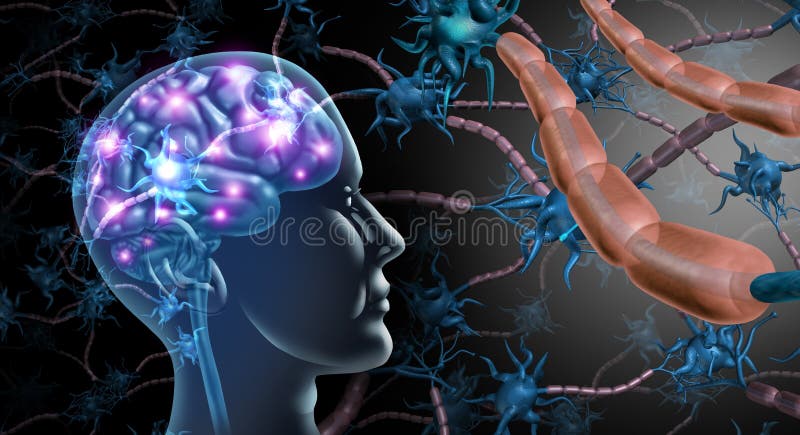 Brain Nerve Cells vector illustration