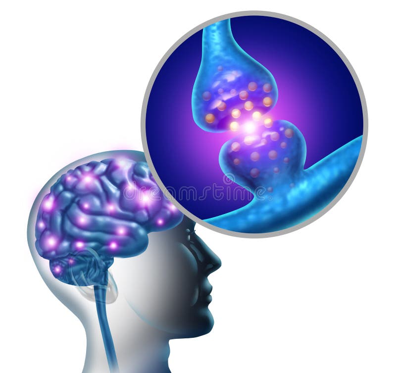 Brain Nerve Synapse vector illustration
