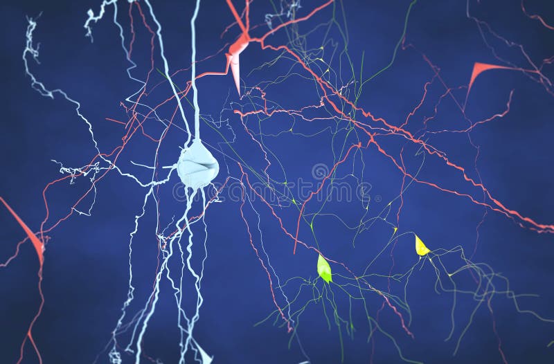 Brain, neurons, synapses, neural network circuit of neurons, degenerative diseases, Parkinson vector illustration
