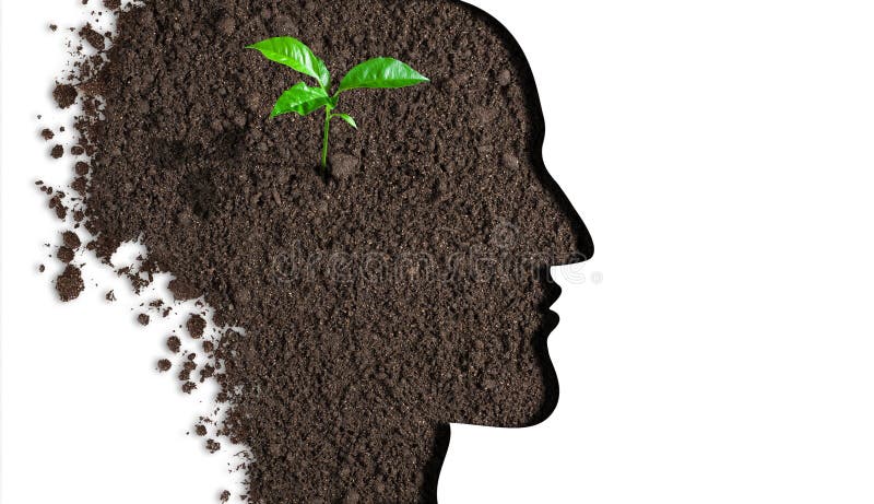 Brain new idea concept stock photos Brain new idea concept stock photos