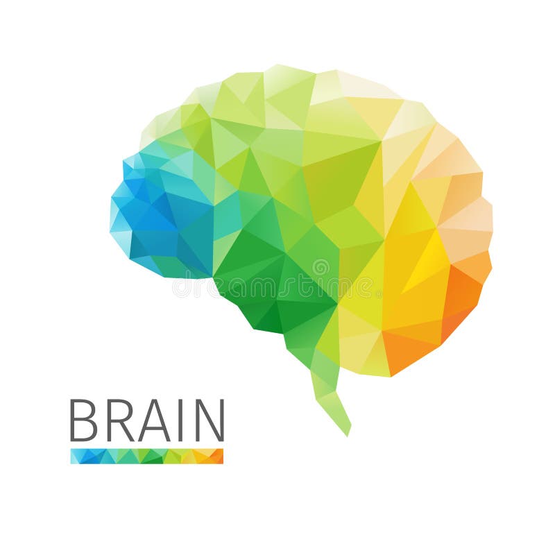 Brain polygon vector illustration