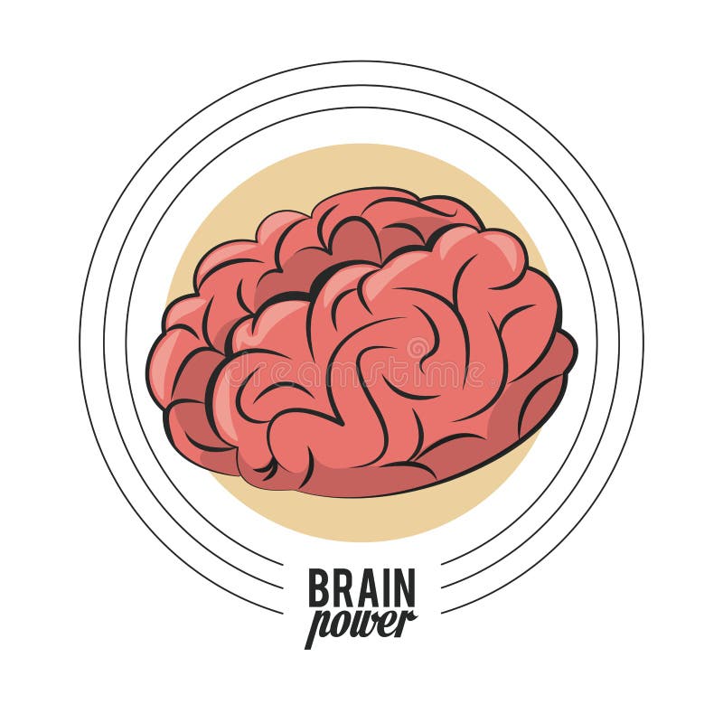 Brain Cartoon Isolated Stock Illustrations – 36,564 Brain Cartoon
