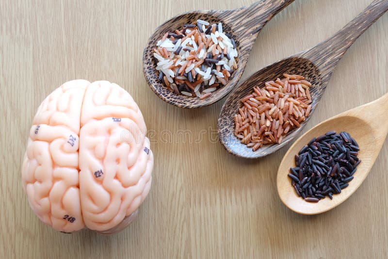 Brain and rice stock photo. Image of natural, health 54570310