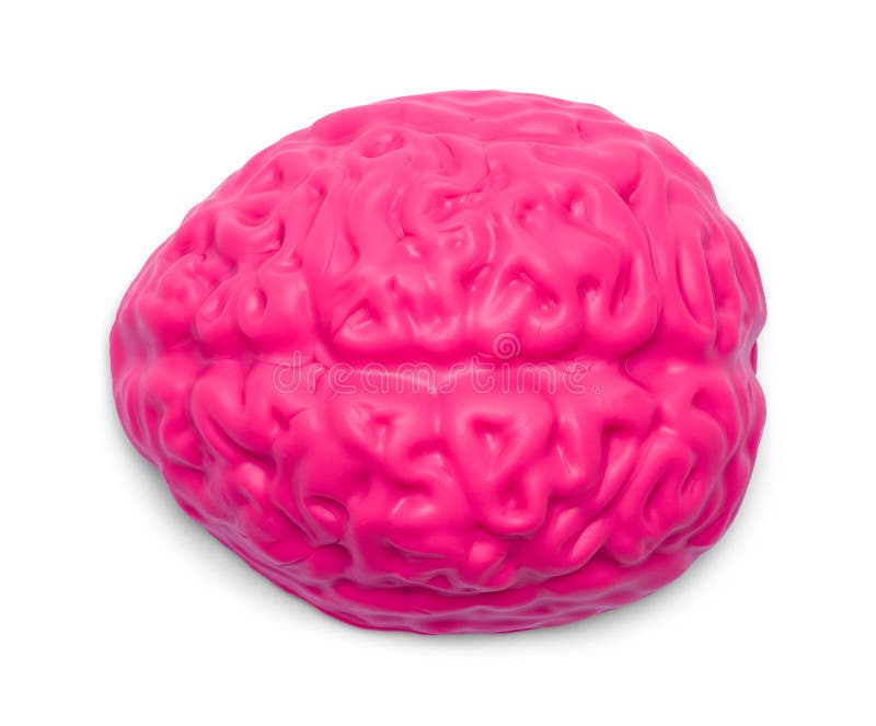 Brain Top images stock Brain Top images stock