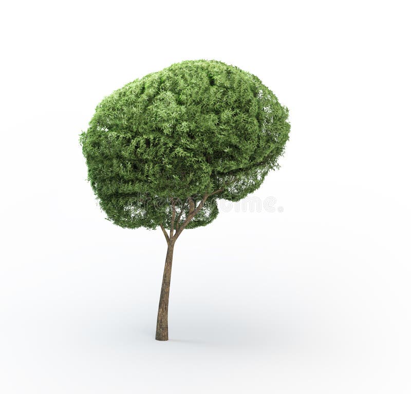 Brain tree stock image Brain tree stock image