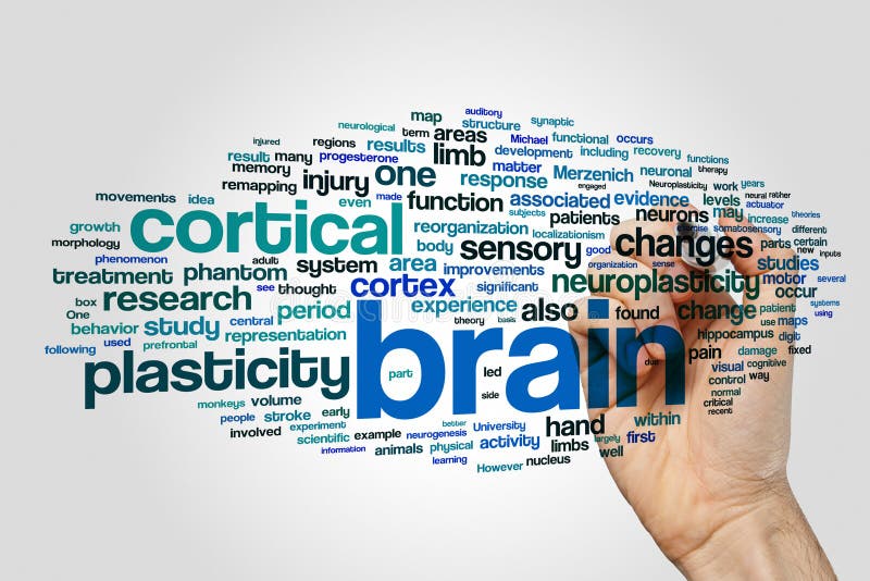 Brain word cloud on grey background.