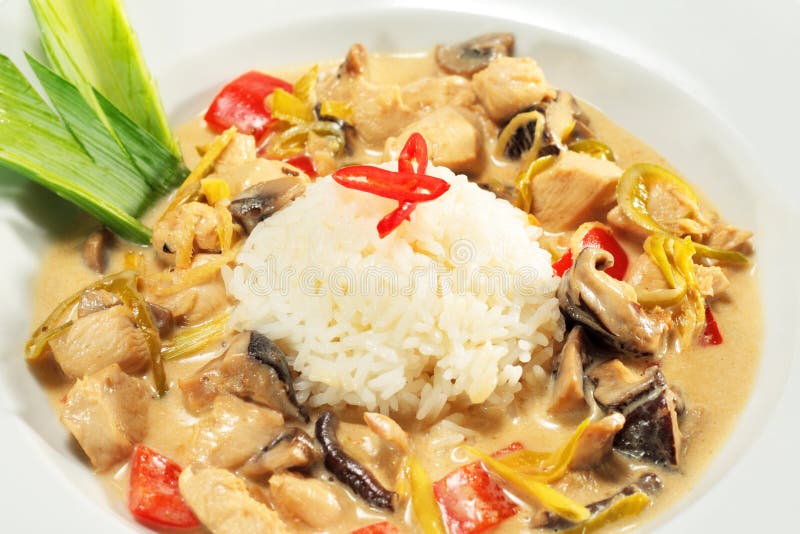 Chicken with curry sauce stock image. Image of white 29185829