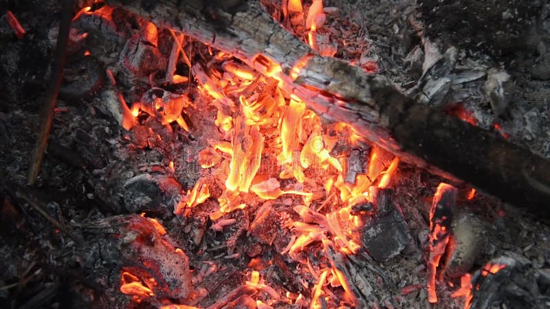 Braises dans le feu. Des branches minces sèches ont été ajoutées au feu.