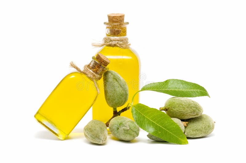 Almond oil stock photo. Image of almendro, branches, tree 26212834
