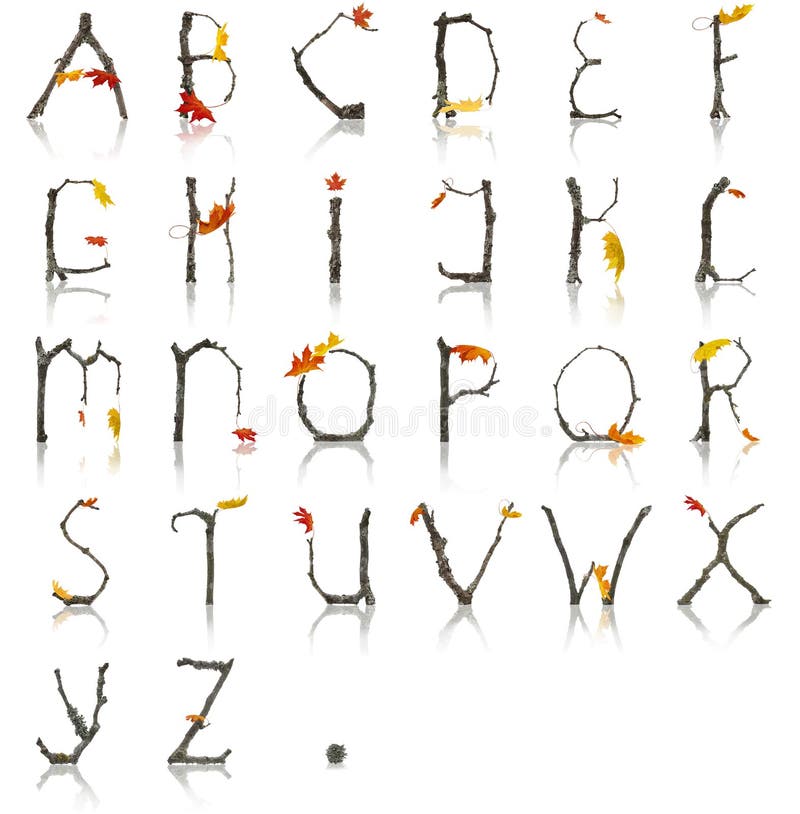 Branch_Autumn_Alphabet fotografering för bildbyråer Branch_Autumn_Alphabet fotografering för bildbyråer