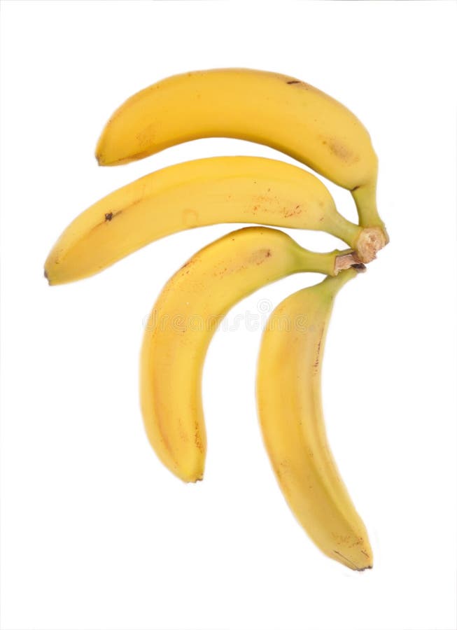 The branch of a banana