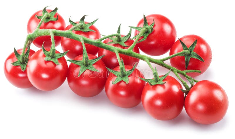 Branch of cherry tomato on the white background