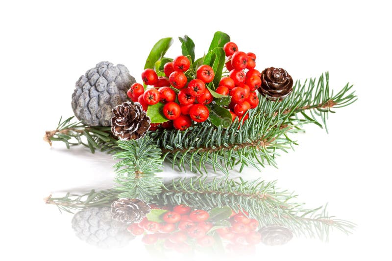 Christmas Tree with Cones and Red Berries. Stock Image Image of