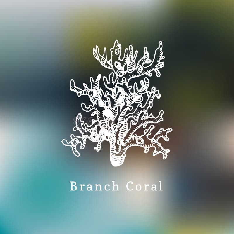 Branch Coral Vector Illustration.Drawing of Sea Polyp on Blurred ...