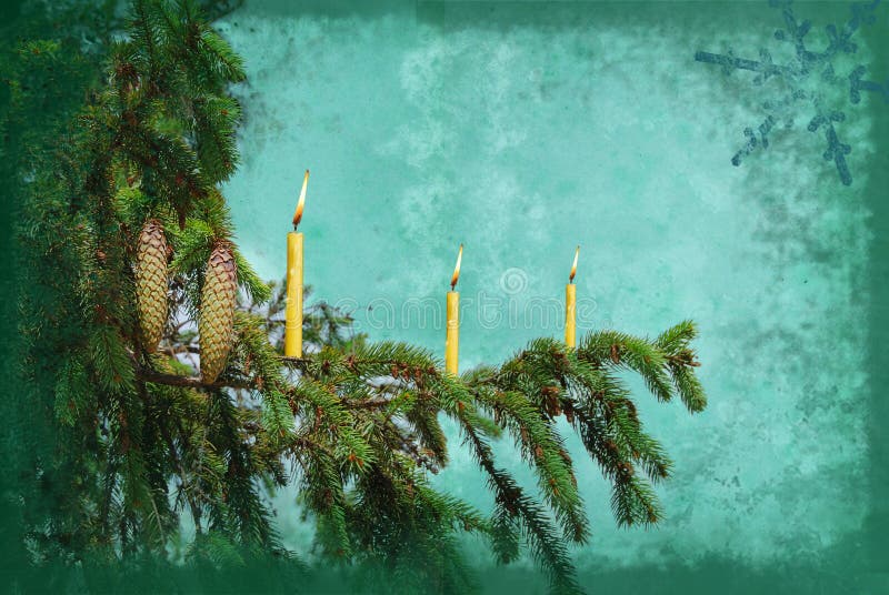 Branch fir tree with candle