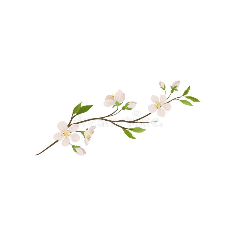 Spring allergy stock photo. Image of napkin, flowers - 39383506