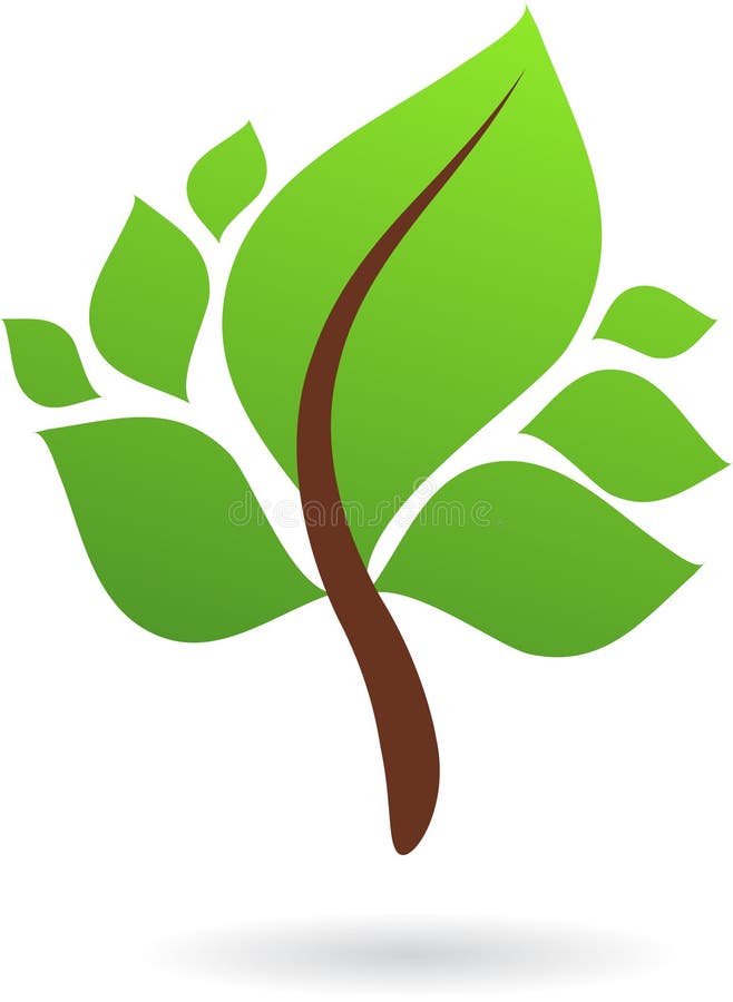 A branch with three big leaves - nature icon /logo design for nature /ecology / green energy context. Green drop vectors