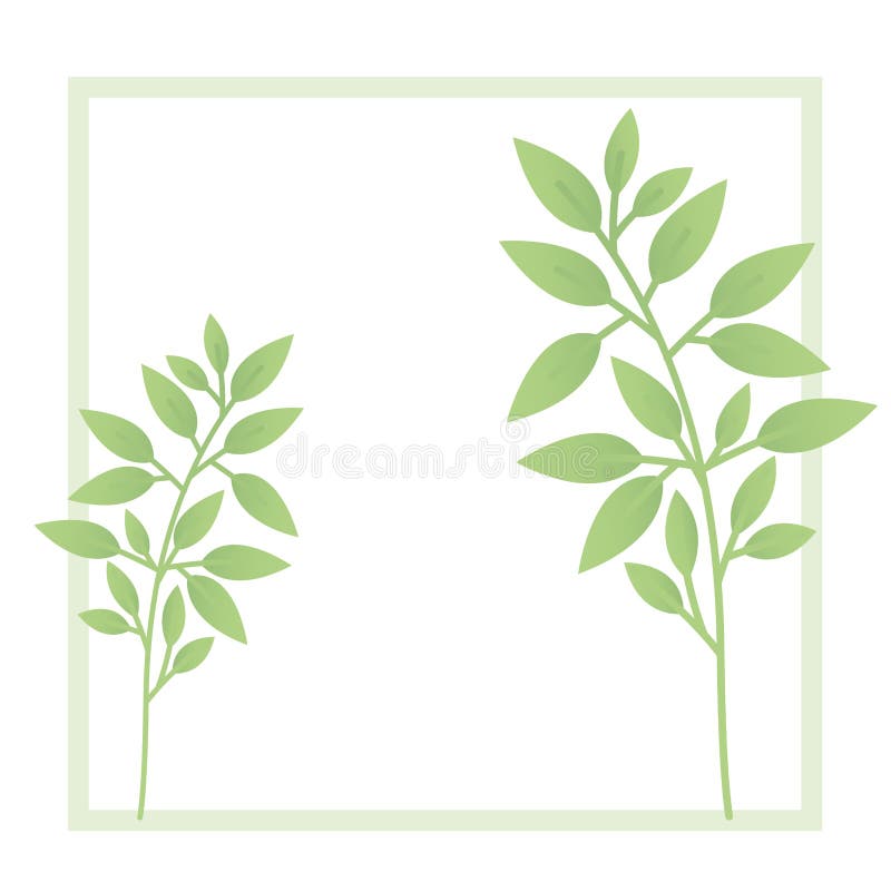 Branch and leaf with frame isolated icon