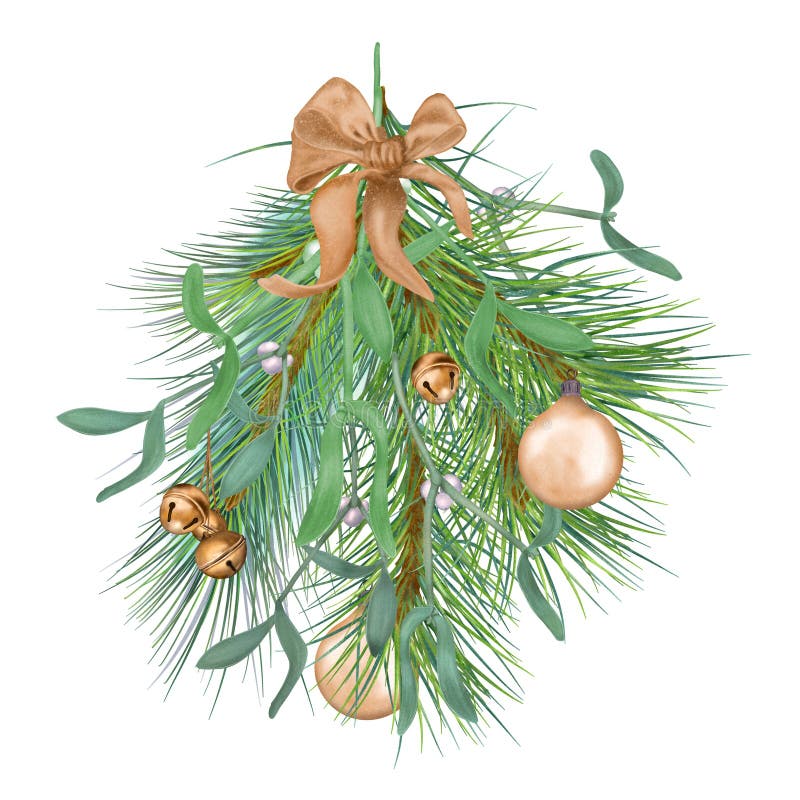 Branch of mistletoe and pine digital illustration watercolor style isolated on white. Christmas decorations, bells, ball