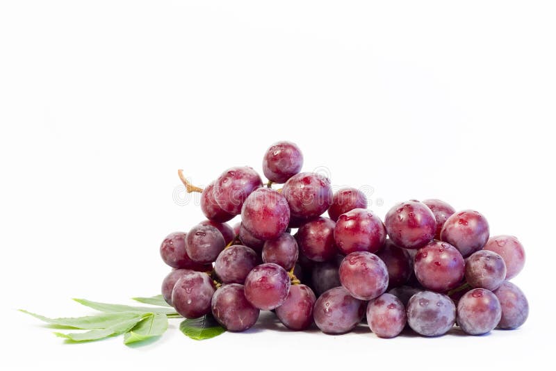 Branch of red grape isolated on white background