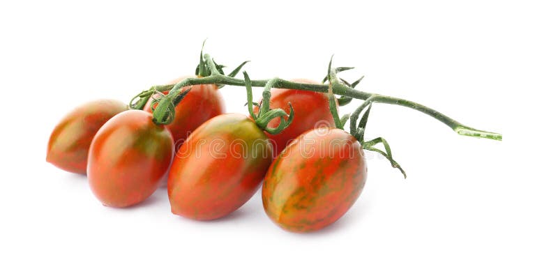 Branch of red grape tomatoes on white
