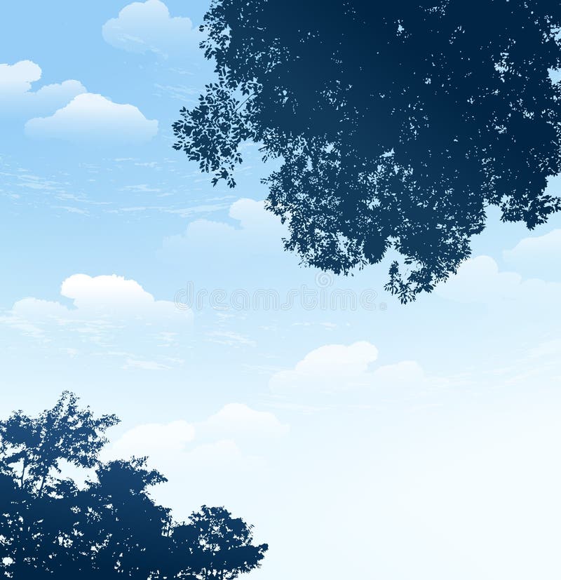 Branch silhouette with blue sky background