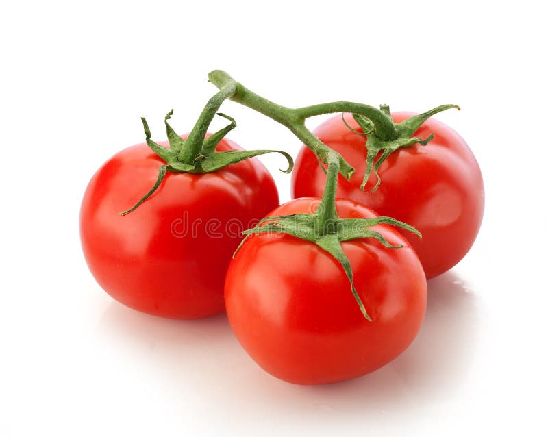 Branch of tomato