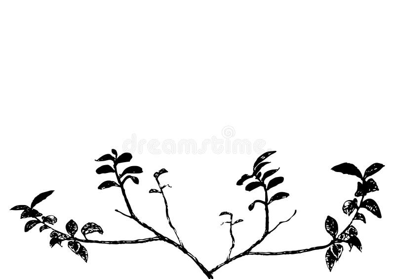 Branch (vector) royalty free illustration