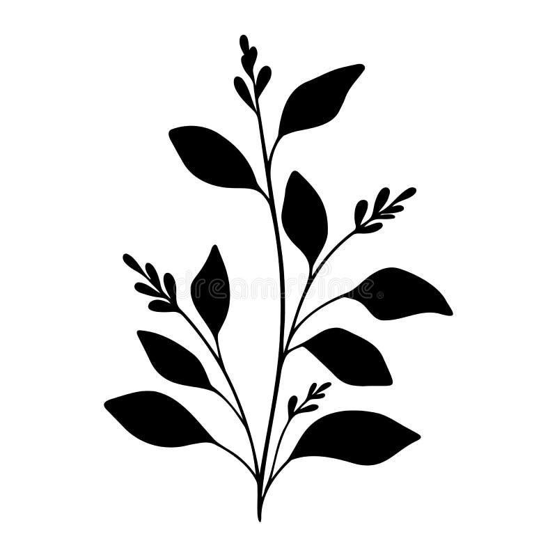 Branch Vector Floral Element. Simple Black Tree with Berry and Leaves