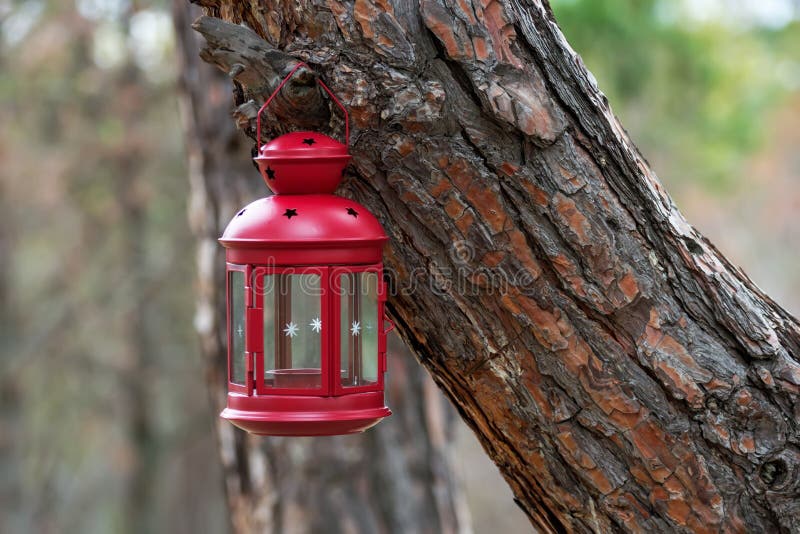 Branche accrochante de sapin de belle lanterne rouge de conte de fées dans la forêt photographie stock Branche accrochante de sapin de belle lanterne rouge de conte de fées dans la forêt photographie stock