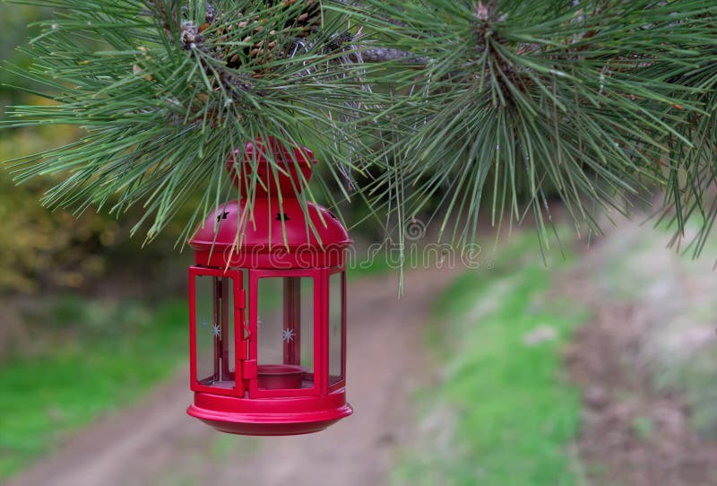 Branche accrochante de sapin de belle lanterne rouge de conte de fées dans la forêt images stock Branche accrochante de sapin de belle lanterne rouge de conte de fées dans la forêt images stock