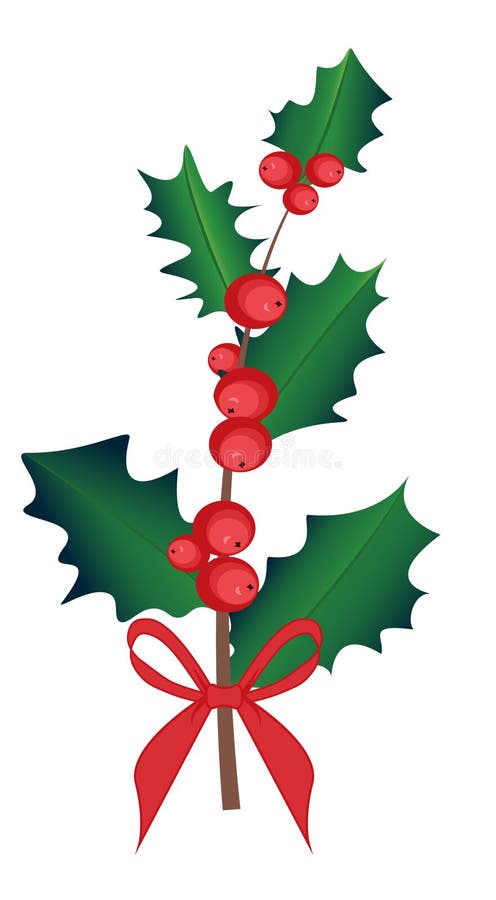Branche d'Ilex avec la baie et les feuilles, ensemble de gui Le symbole de Noël et de la nouvelle année, vecteur a isolé le dessi illustration stock Branche d'Ilex avec la baie et les feuilles, ensemble de gui Le symbole de Noël et de la nouvelle année, vecteur a isolé le dessi illustration stock
