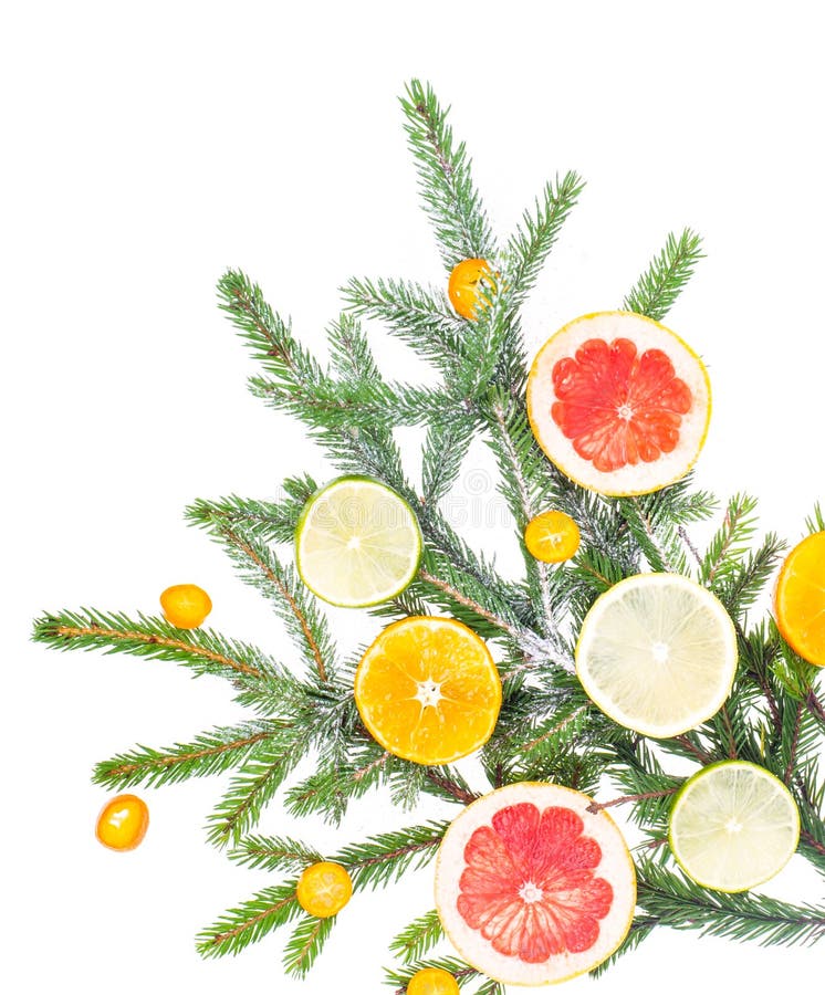 Branche de nouvelle année et de Noël de sapin, décorée des fruits photos libres de droits Branche de nouvelle année et de Noël de sapin, décorée des fruits photos libres de droits